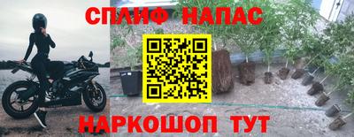шишки Комсомольск-на-Амуре
