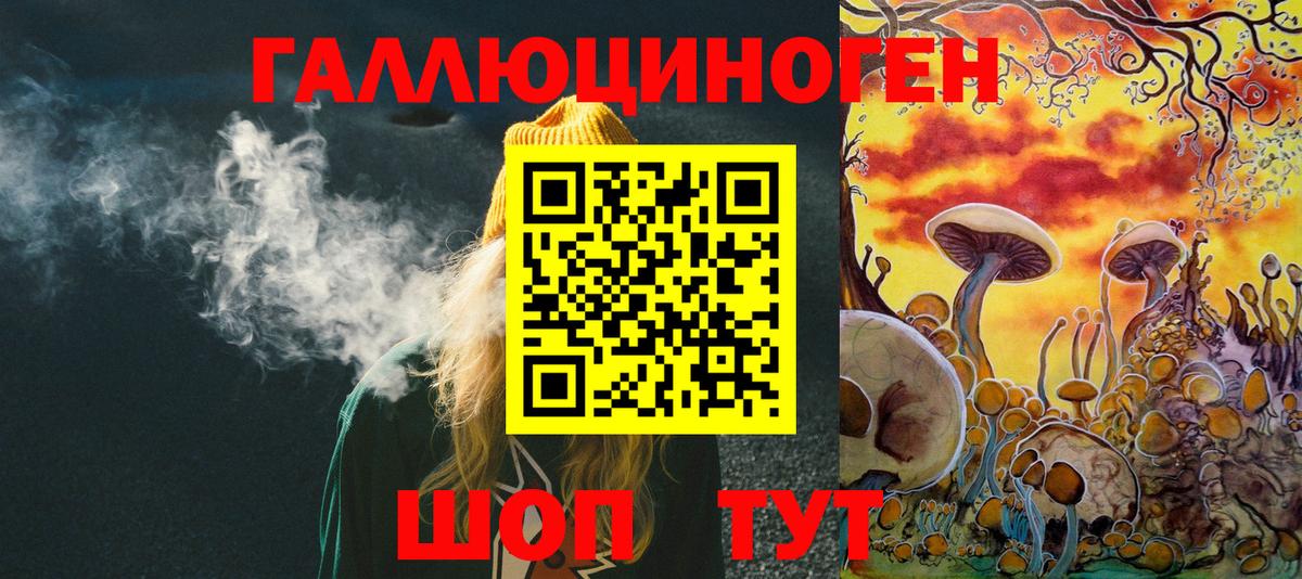 Псилоцибиновые грибы GOLDEN TEACHER  Вход с VPN  Кудымкар  что такое   Псилоцибиновые грибы Psilocybine cubensis 