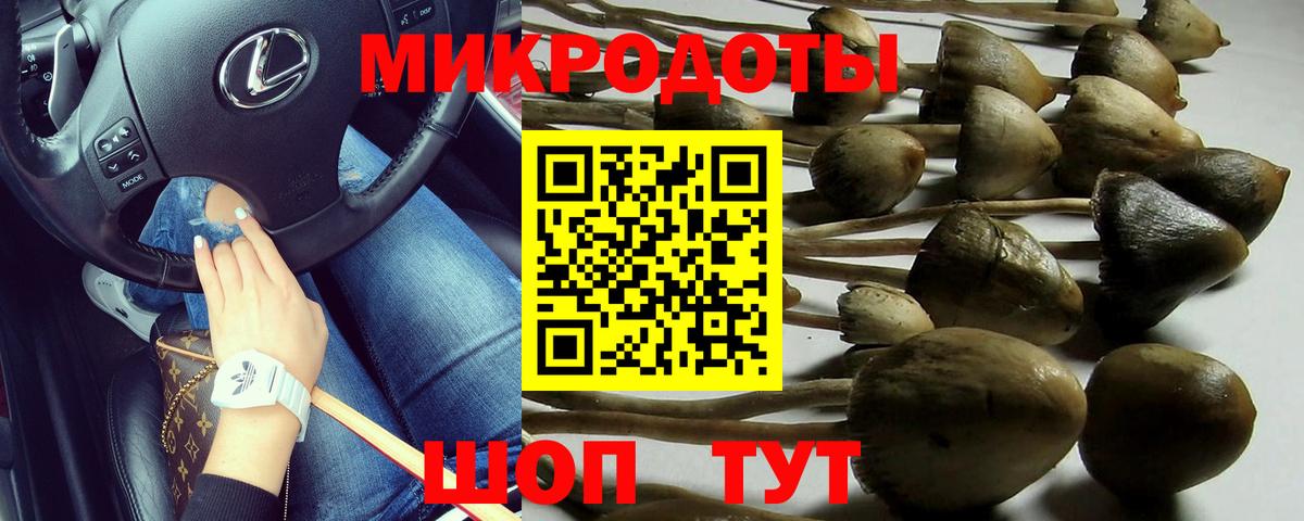 Галлюциногенные грибы MAGIC MUSHROOMS Кудымкар